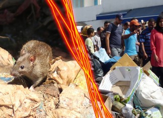 Entre la peste à Carthage ou le choléra à Djerba, faut-il choisir?