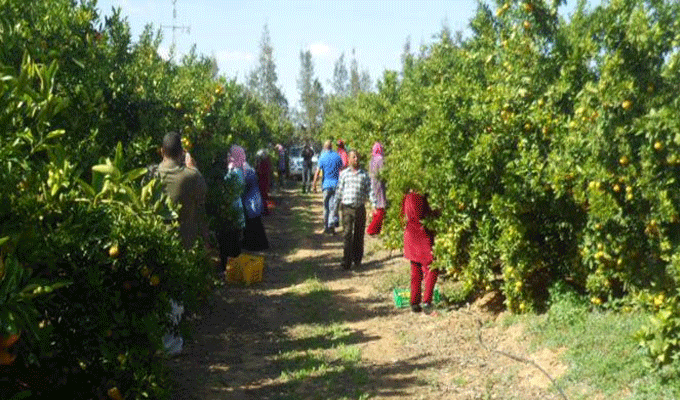 Tunisie : Un accident de la route fait un mort et plusieurs blessés à El Aguila