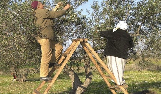 L’économie tunisienne sauvée par le pétrole, le phosphate et l’agriculture