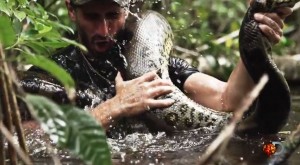 VIDÉO : L’homme qui voulait être avalé vivant par un anaconda va au bout de son pari