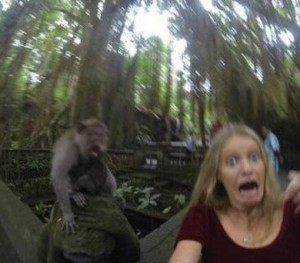 Son Selfie vire au cauchemar à cause d’un singe !
