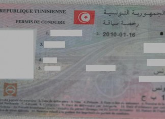 Tunisie: Bientôt, une application mobile pour contrôler l’examen du permis de conduire