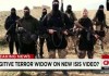 Terrorisme: 50.000 combattants de Daech éliminés, selon le Pentagone