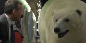 VIDEO : Un ours polaire en balade dans les rues de Londres !