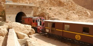 Tunis – Kasserine: Inauguration de la “Rose des sables”