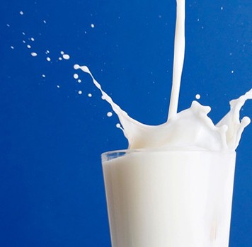 Pourquoi la crise du lait persiste en Tunisie ? Les explications du ministère de l’Agriculture