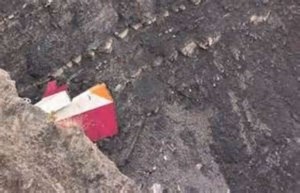 Crash A320 : Au moins 72 Allemands parmi les victimes