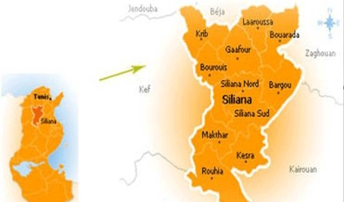 Le FIDA octroie à la Tunisie 24 millions de dollars