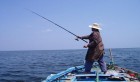 Tunisie: La saison de migration vers le nord des pêcheurs de Kalaat El Andalous