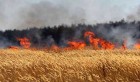 Siliana: Extinction d’un incendie ayant ravagé 10 hectares de résidus de récolte