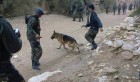 Kasserine: Deux corps de terroristes emmenés à la caserne militaire ?