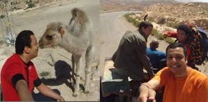 VIDEO : Qui a dit que la Tunsie est un pays à haut risque !