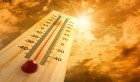 Vers des températures avoisinant les 60 °C en Afrique du Nord