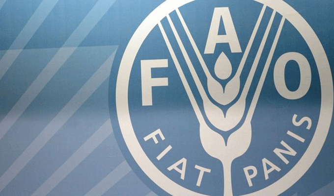 Zarzis : Atelier sur le renforcement des capacités du réseau tunisien pour la pêche artisanale durable