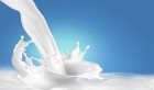 Tunisie : Augmentation du prix du lait dans les prochains jours