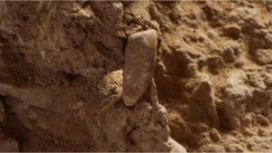 France : Découverte d’une dent humaine datant de 560.000 ans