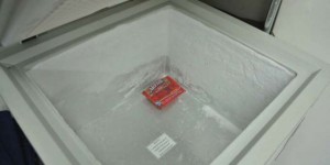 Découverte de 21 morceaux d’organes féminins dans un freezer en Afrique du sud