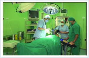 Succès médical : implantation de valve pulmonaire révolutionnaire sans chirurgie pour un enfant tunisien