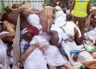 Pèlerinage : Quatorze pèlerins tunisiens décédés dont deux lors de la bousculade de Mina