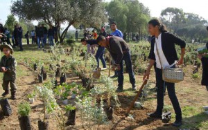 Tunisie: Célébration de la fête nationale de l’arbre