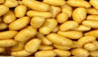 Kasserine: Saisie de 3,5 tonnes de pommes de terre pour spéculation