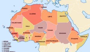 La Tunisie élue présidente de la zone Afrique du nord de la CPCCAF