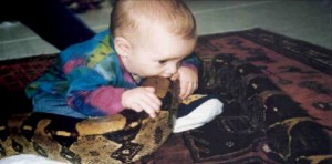 Un bébé de 17 mois mord un serpent venimeux et le tue !