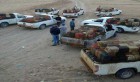Tunisie : Arrestation de 25 contrebandiers de carburant dans la zone tampon