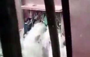 Intempéries en Cisjordanie : Une famille sauvée grâce à un élan de solidarité (VIDE0)