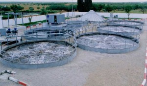 Tataouine: Lancement des travaux de réalisation d’une station d’épuration des eaux usées à la caserne de Remada