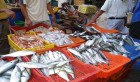 Sfax : Réouverture du marché municipal aux poissons de Bab Jebli
