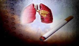 4% des adultes en Tunisie sont atteints d’une broncho- Pneumopathie chronique obstructive