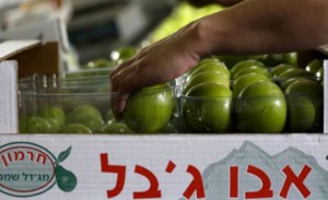 L’UE approuve l’étiquetage des produits israéliens