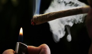 Tunisie : La consommation de cannabis chez les jeunes de 15 à 17 ans a triplé entre 2014 et 2017