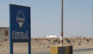 Tunisie: Eclairage sur le contrat de vente de sel avec la COTUSAL