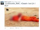 La famille de James Foley indignée après le tweet de Marine le Pen