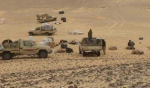 Tunisie – Zone tampon: Saisie par une patrouille militaire de deux véhicules de contrebande