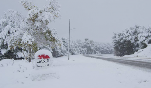 Tunisie – Vague de froid: Des mesures exceptionnelles pour garantir 57000 tonnes de GPL