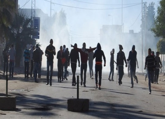 Tunisie – Médenine : La fourrière municipale vandalisée