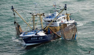 Tunisie: Un bateau de pêche illicite intercepté à Sfax