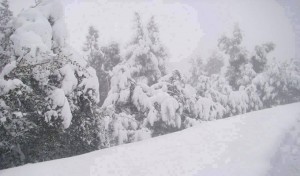 Béja : Chutes de neige à Béja-ville et sur les hauteurs