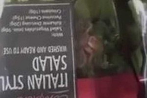 VIDÉO : Elle découverte une araignée vivante dans son sachet de salade !