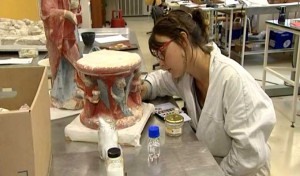 Tunisie: En vertu d’une convention, l’INP offre à l’Alecso une mosaïque romaine