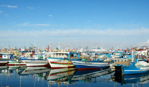 Tunisie : Découverte d’une usine de construction de bateaux destinés à des opérations de migration clandestine (Intérieur)