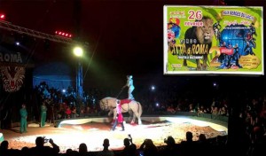 Report des spectacles du cirque Bizzaro