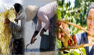 Travailleuses agricoles: Une main-d’œuvre saisonnière sans couverture sociale