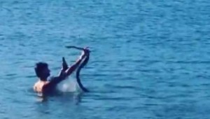 VIDÉO : Attaqué par un serpent, cet homme veut avant tout finir sa bière tranquille !