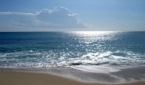 Tunisie – Sousse: Nettoyage des plages publiques sur une superficie de 250 hectares