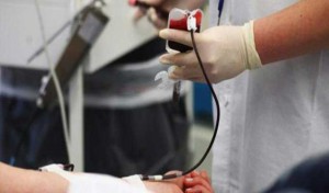 Tunisie – Don du sang : 6.5% seulement des donneurs sont réguliers