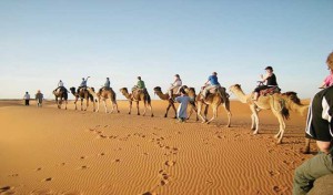 Tunisie: Des journalistes et agents de voyages polonais visitent la zone touristique de Kébili